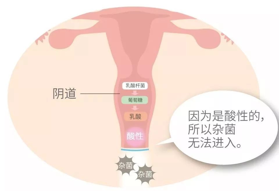 【3折抄底】身体清洁专场：进口、大牌、低至9.9包邮。喜欢干净漂亮的你～