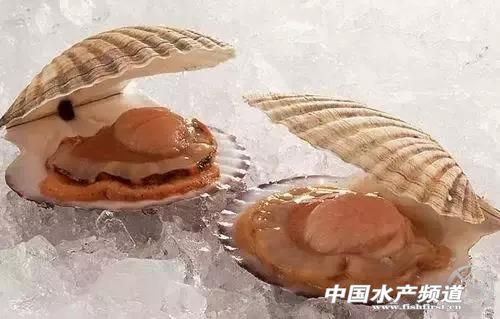 各种海鲜哪些部位不能吃,海鲜哪些人不能够吃