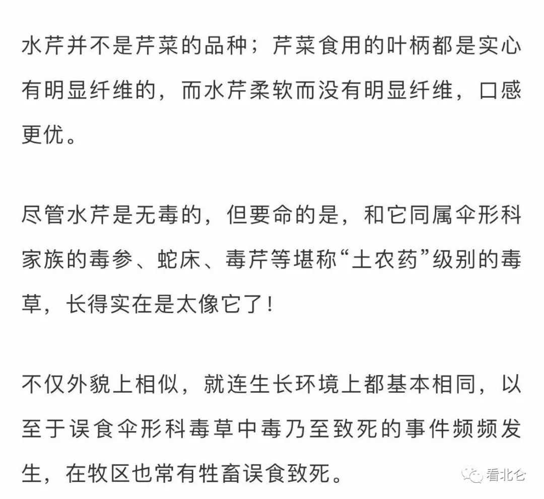 吃了街边买的“青菜”，一家三口急送医！这些菜清明常出没…