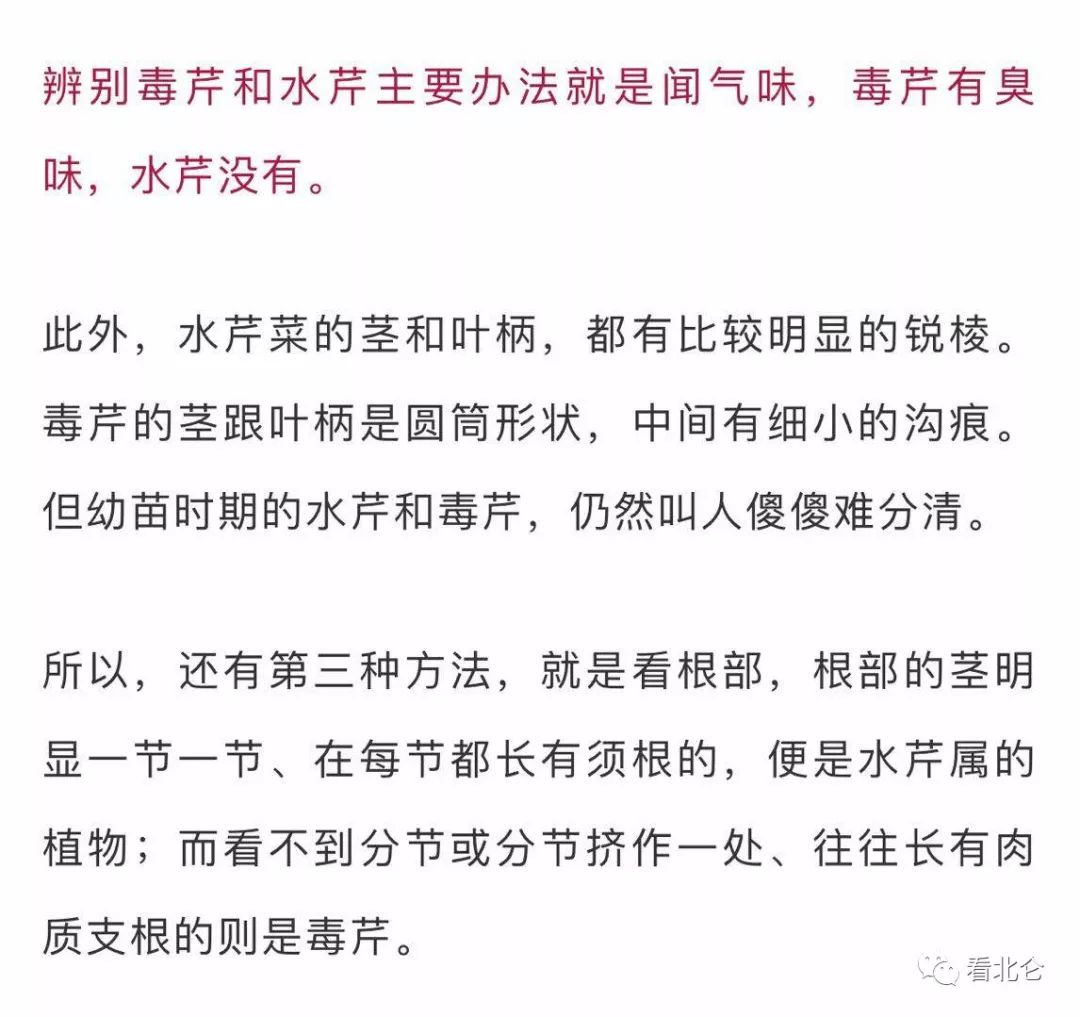 吃了街边买的“青菜”，一家三口急送医！这些菜清明常出没…