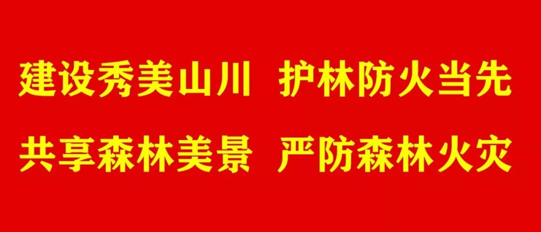 50年皱纹有救啦用它专抹深皱纹,在家就能改善皱纹的神器来了