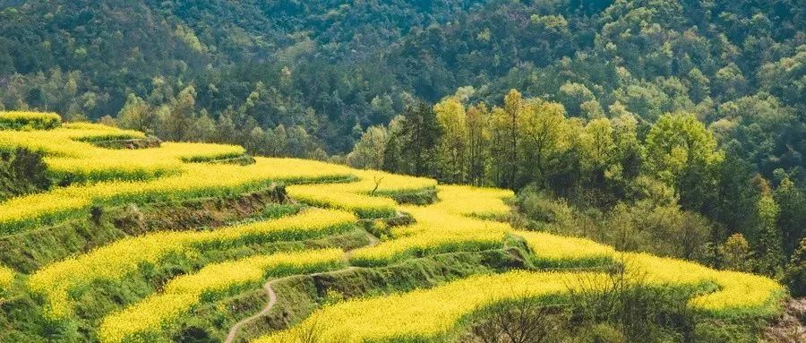 旅游攻略清明小长假,清明小长假你的旅游清单定好了吗