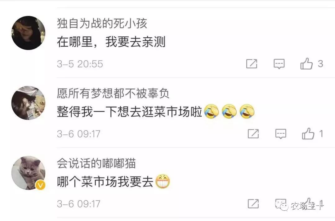 市场虽差但热销的爆款文案,为了卖产品也真是拼了的文案