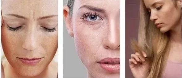 减肥真人秀画风跑偏变吃播？“太子妃”坚守底线不忘初心