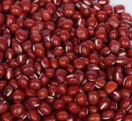 薏米特殊功效与功能,薏米的功效与功能医学百科