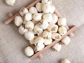 薏米特殊功效与功能,薏米的功效与功能医学百科