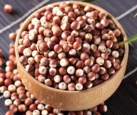 薏米特殊功效与功能,薏米的功效与功能医学百科