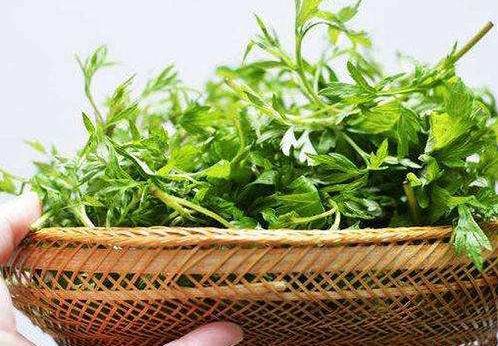 每日一膳|体内寒湿重？用这款有“艾”靓汤泡一泡，除湿安神还助眠，双腿也会倍感轻松哦！~广东省中医院杨志敏教授今日推荐