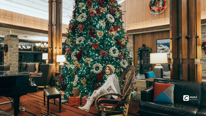 漫长的八个月,冬天的加拿大真的好美