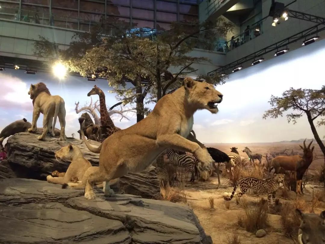 剁手｜10块钱在上海能干些什么？这些可能大家都想不到！