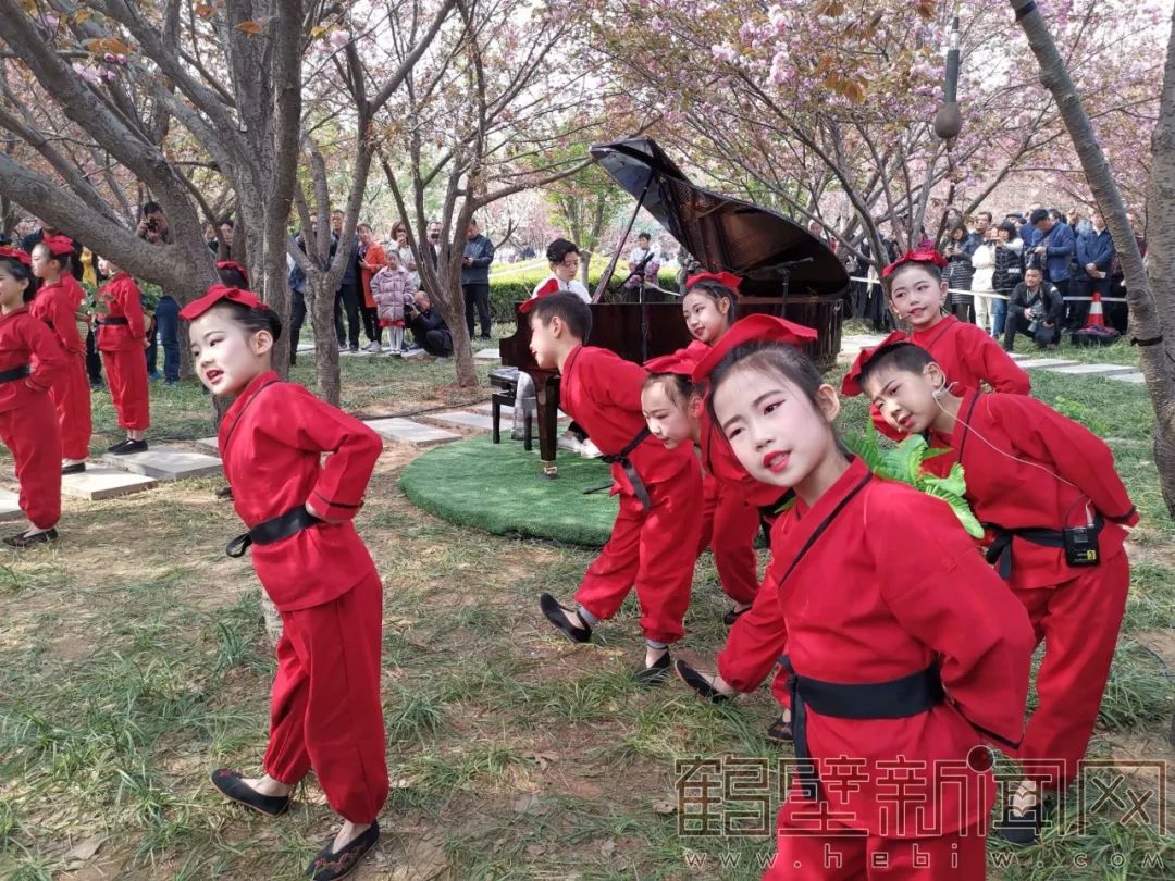 鹤壁樱花节樱花大道,鹤壁樱花节开幕