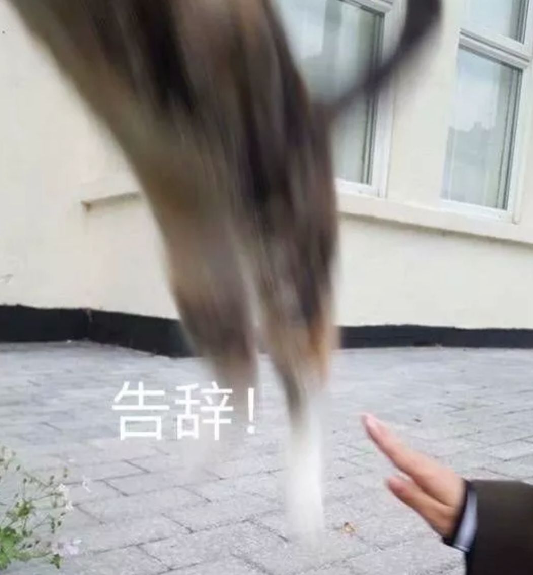 螺蛳粉韩国申遗告捷了吗,韩国申遗螺蛳粉告捷了吗