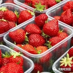 翘首以待！海门中南城第二届草莓节来啦！重磅福利不止是说说而已！