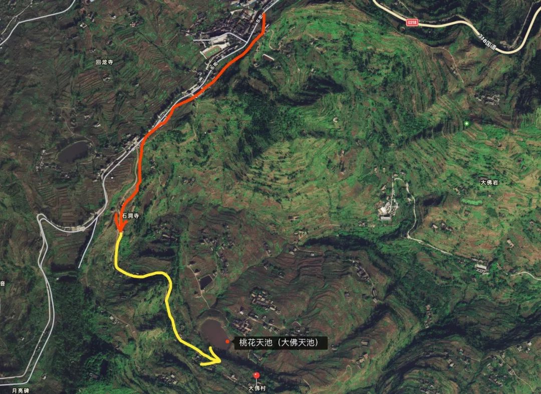 清明周边好去处成都,夏季成都周边花海打卡地