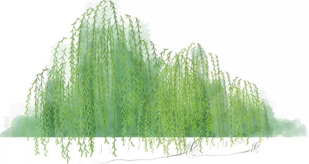 游恩施的攻略有哪些地方能够玩,恩施游玩哪些地方值得去玩