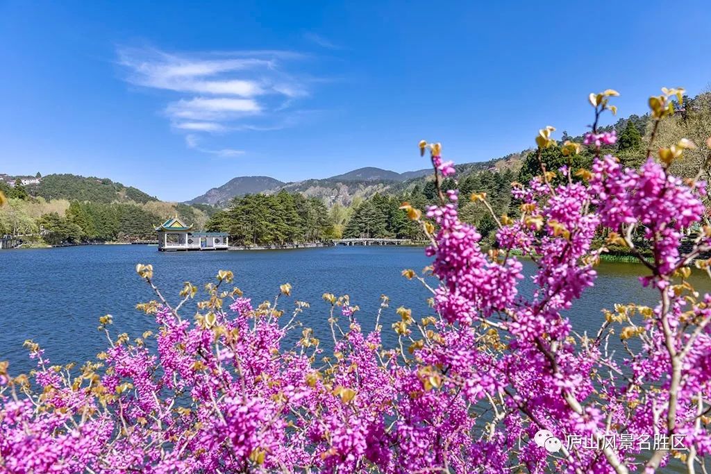 四月中旬的庐山,四月庐山是什么样的