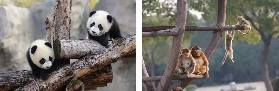 5天小长假旅游推荐,51小长假5天自驾游推荐