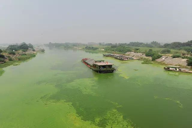 日本酵素洗衣粉，抑菌除臭，阴雨天照样洗衣服，还更省钱！