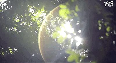 跟刘昊然在非洲过了6天5夜，发现他其实就是个话痨加多动症啊……