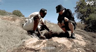 跟刘昊然在非洲过了6天5夜，发现他其实就是个话痨加多动症啊……