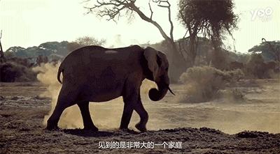 跟刘昊然在非洲过了6天5夜，发现他其实就是个话痨加多动症啊……