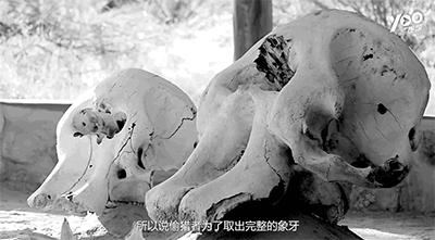 跟刘昊然在非洲过了6天5夜，发现他其实就是个话痨加多动症啊……