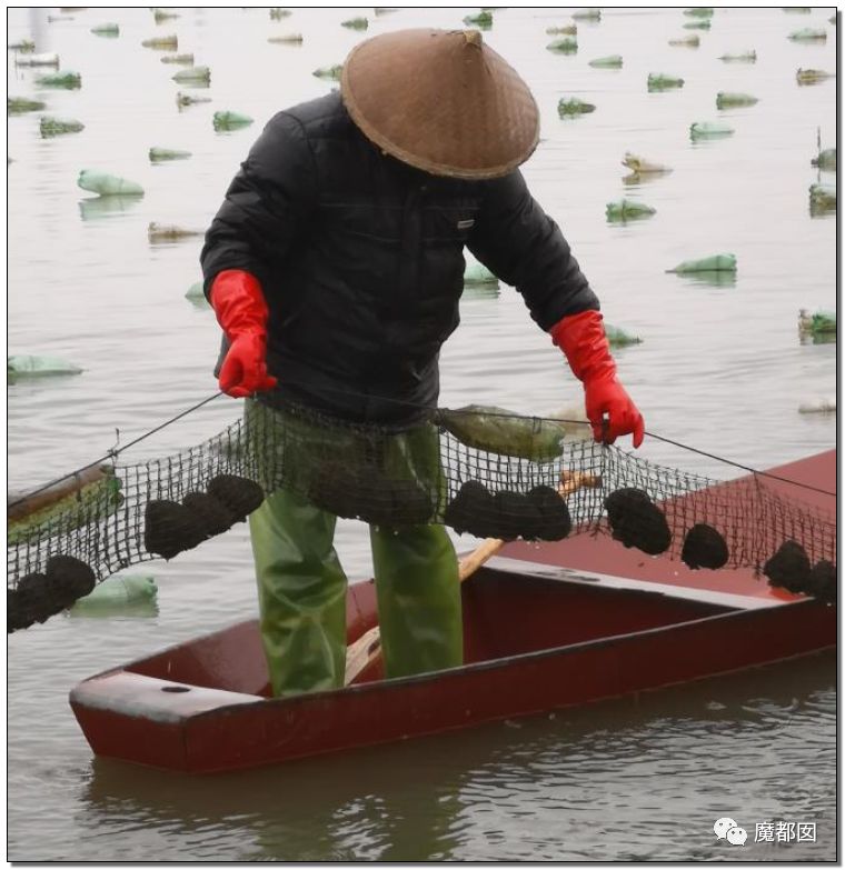 小提琴特色小镇,中国小提琴特色小镇