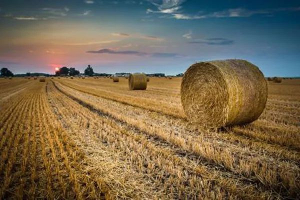 每亩地补贴150公斤有机肥,有机肥补贴政策咨询