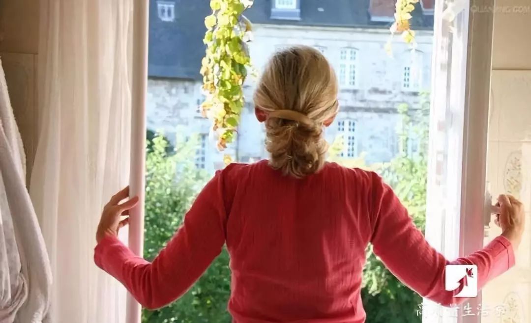 吸甲醛最好的植物排名,什么植物去甲醛最好又合适放卧室