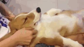 泰国回来后得白血病,泰国回来得了癌症