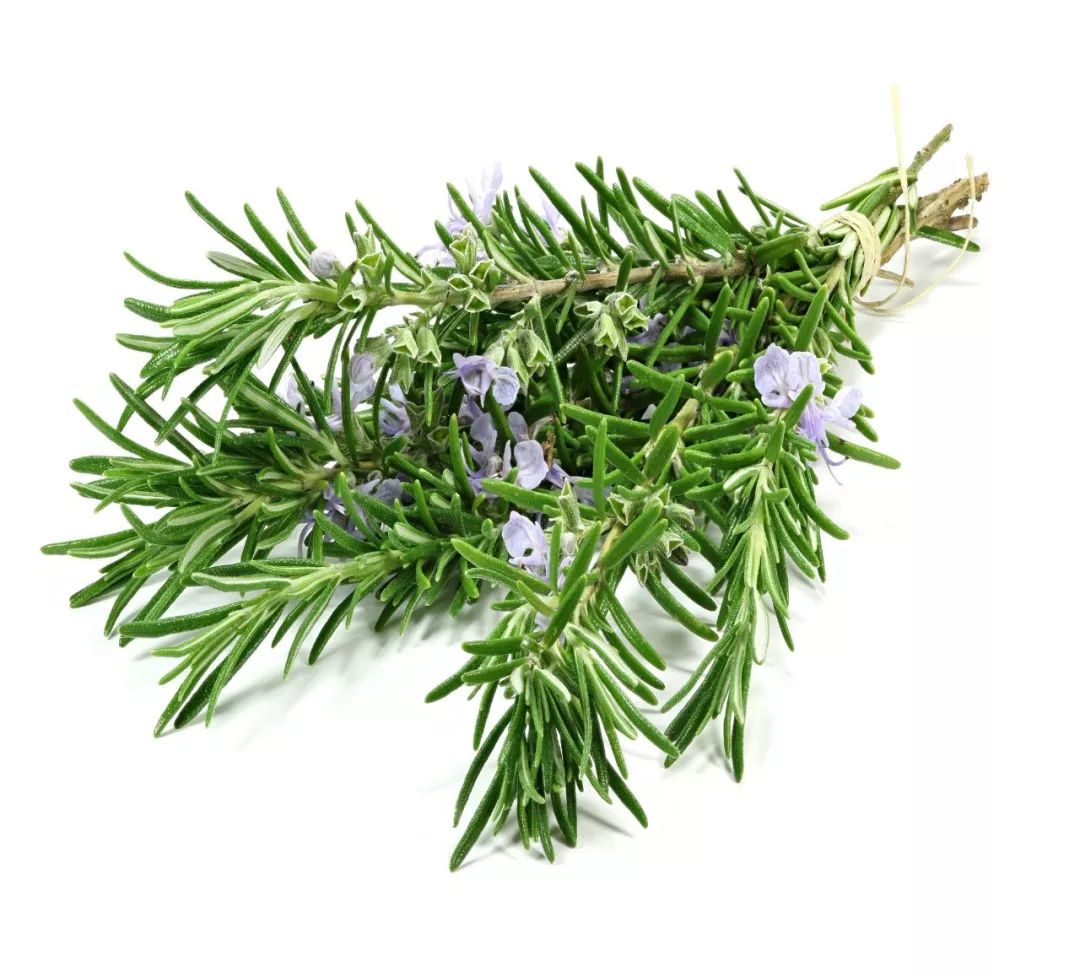 新西兰高端沙龙专用，2秒1喷，增发从“根”开始