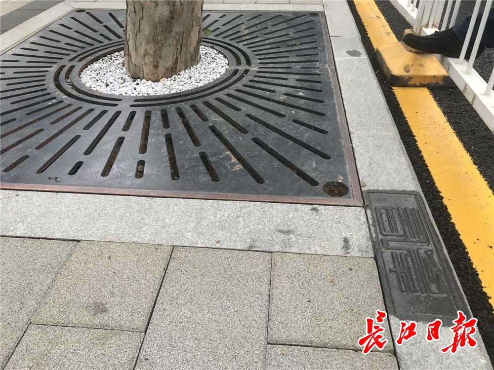 武汉右岸大道快速路,武汉右岸大道示范段