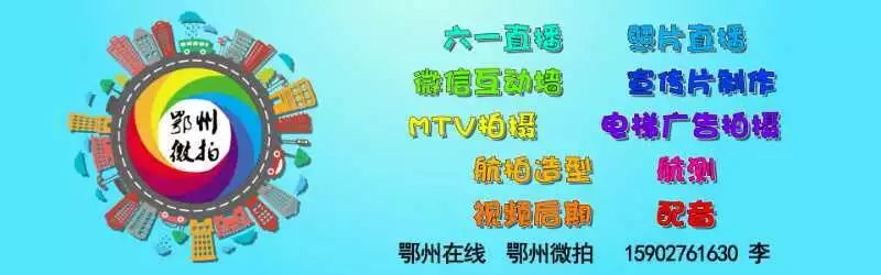 车主速看最新礼让行人规则公布,车主速看车险五大变化