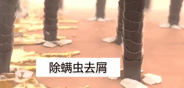 团|你的头发一根都不许掉！用它，还能3天不洗头依然干爽不油腻