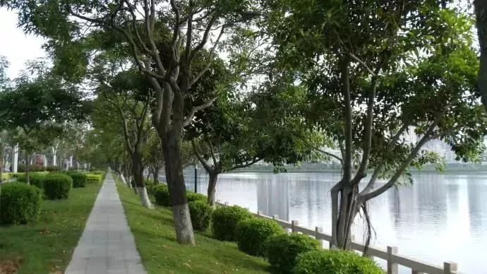 厦门最美环海步行栈道,厦门必去的十大跑道