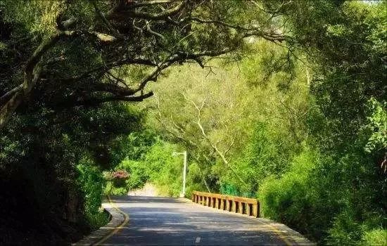 厦门最美环海步行栈道,厦门必去的十大跑道