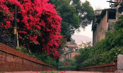 厦门最美环海步行栈道,厦门必去的十大跑道