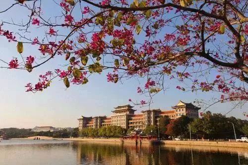 厦门最美环海步行栈道,厦门必去的十大跑道