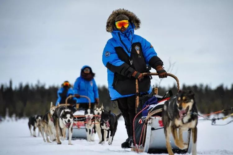 推荐丨瑞典：户外爱好者驾驶狗拉雪橇穿越极地