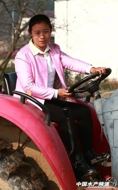 自贡沿滩稻虾养殖助农民增收致富,稻虾养殖致富纪录