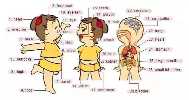 英语听力入门3000听力词汇,英语听力高考场景词汇
