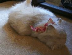 韩妆有多难用？我能够吐槽三天三夜！