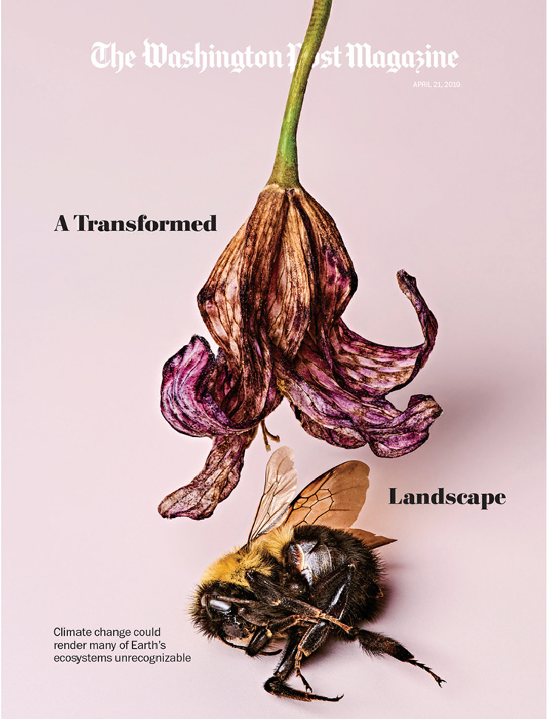 Gucci第一季增长放缓，以及，之禾ICICLE将开巴黎首店|浮华日报