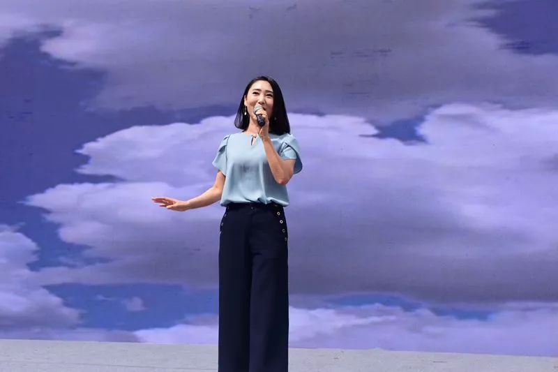 第十四届岳西县映山红旅游文化月,岳西映山红文化旅游节