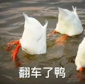 找工作找到了又不去是什么心态,如何在毕业季找到好工作