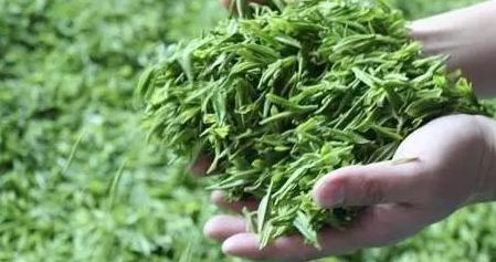 【方志四川•节气】刘艳平‖谷雨：雨生百谷，春从此别夏将至