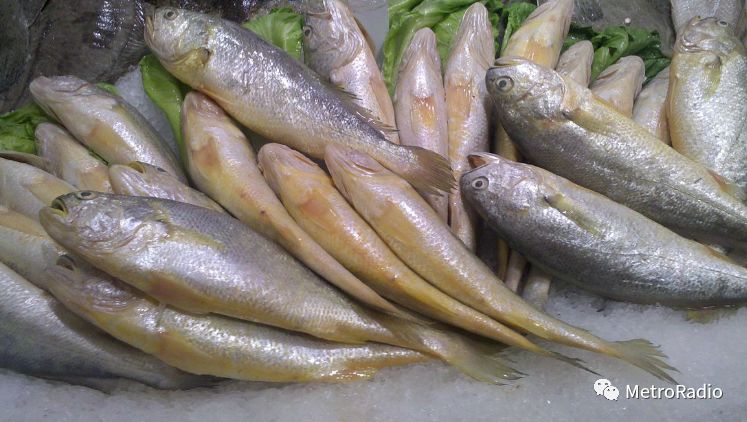 节气谷雨解说,谷雨节气的唯美诗句