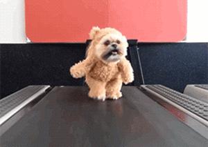 不用健身器材就能够练出完美身材,教你轻松健身在家也能练出好身材