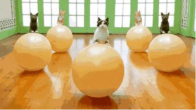 不用健身器材就能够练出完美身材,教你轻松健身在家也能练出好身材