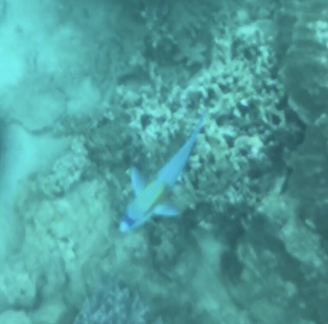 越南越美,越南越美一生必去一次